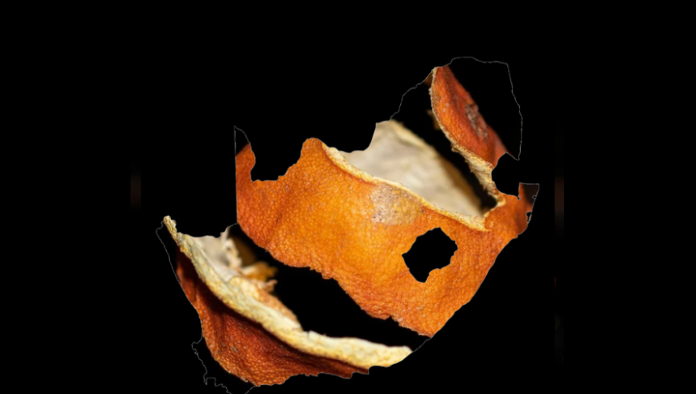 Close-up of an orange peel highlighting vibrant color, symbolizing innovative diabetes research using citrus compounds
