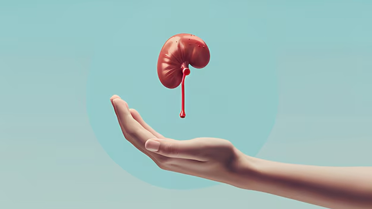 Kidney health and diabetes connection