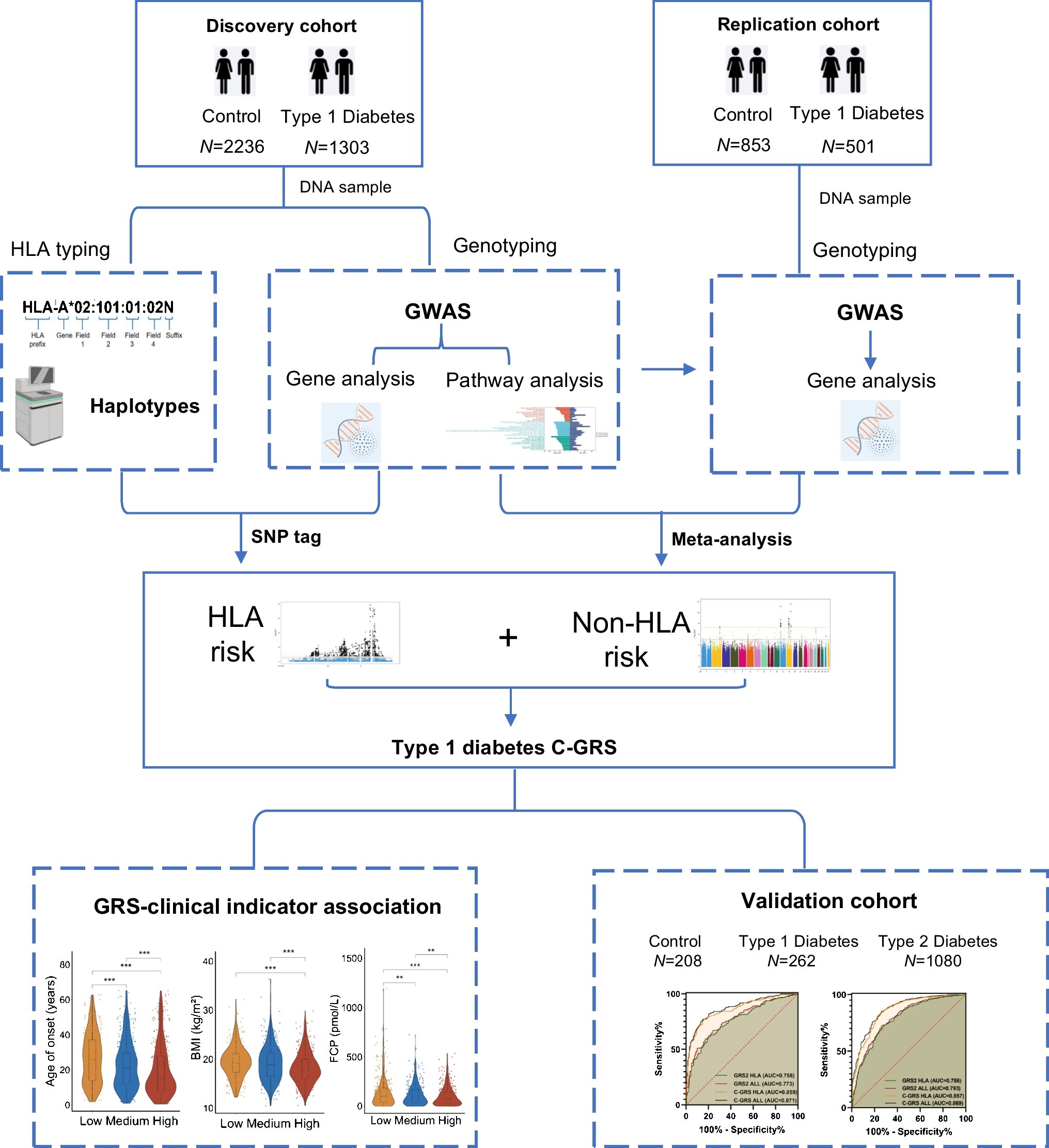 Genetic Risk Score Process for Diabetes Diagnosis