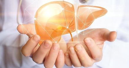 Hands holding two liver structures demonstrating dapagliflozin treatment benefits