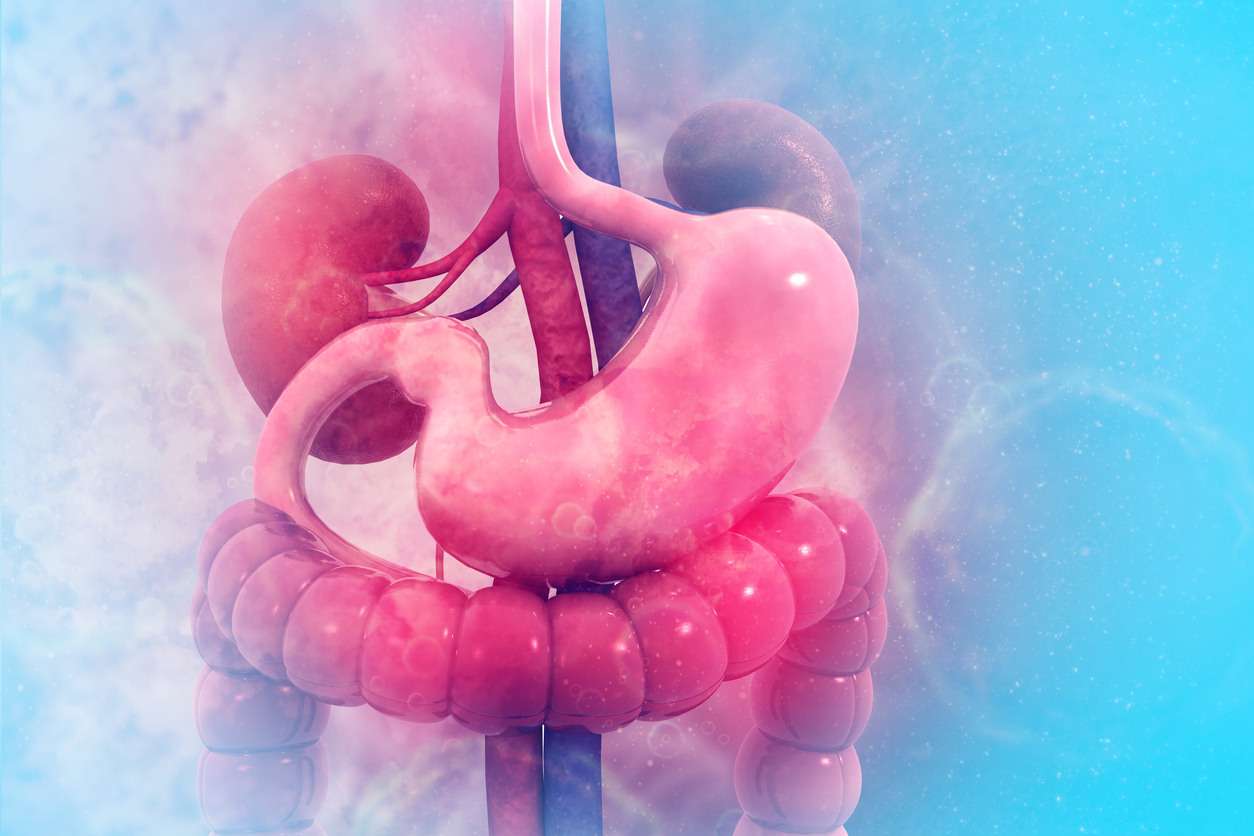 gut health kidney function diabetes 3D rendering
