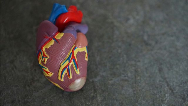 Heart attack and stroke risk reduction with timely statins