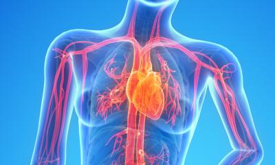 Hidden heart risks in women with type 2 diabetes
