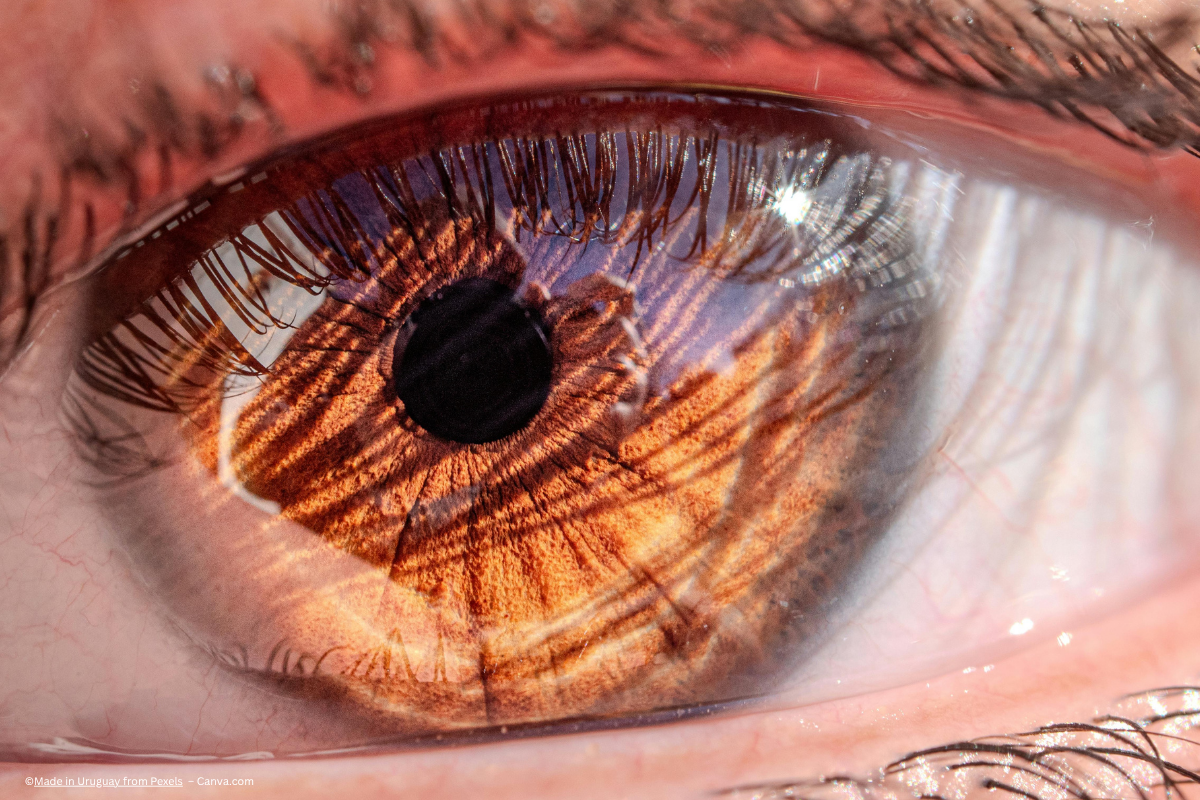 PER-001 investigational therapy improving retinal thickness and visual acuity